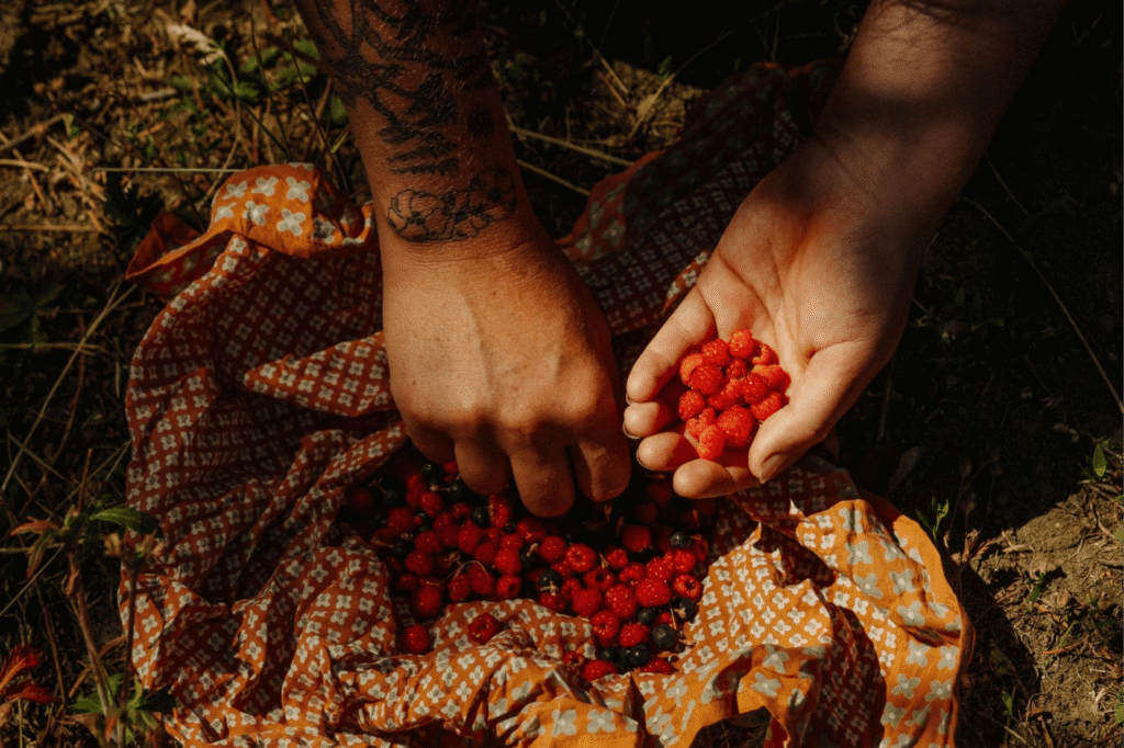 Hands gather small red berries onto a patterned cloth, one hand tattooed. Sunlight filters through, creating a warm, earthy tone and connection to nature.