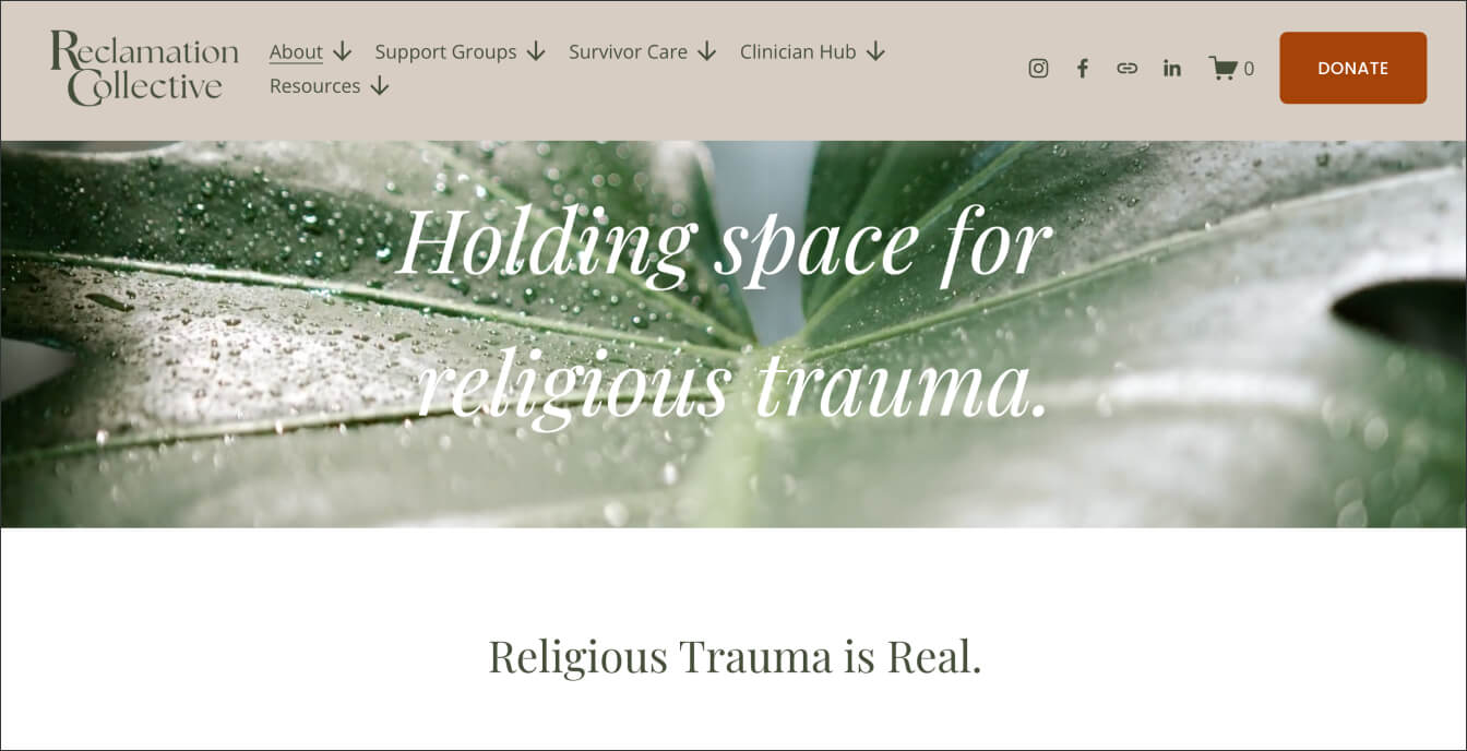 Reclamation Collective, a religious trauma and spiritual abuse therapy nonprofit.